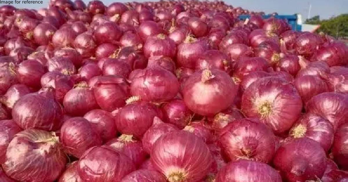 Purchase another 2 lakh tonne onion to support farmers, Maharashtra requests Centre